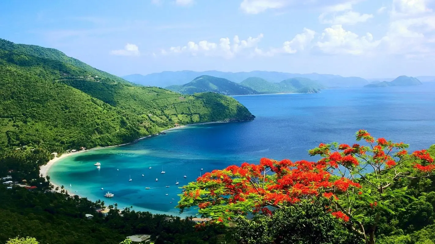 创新节能网络化